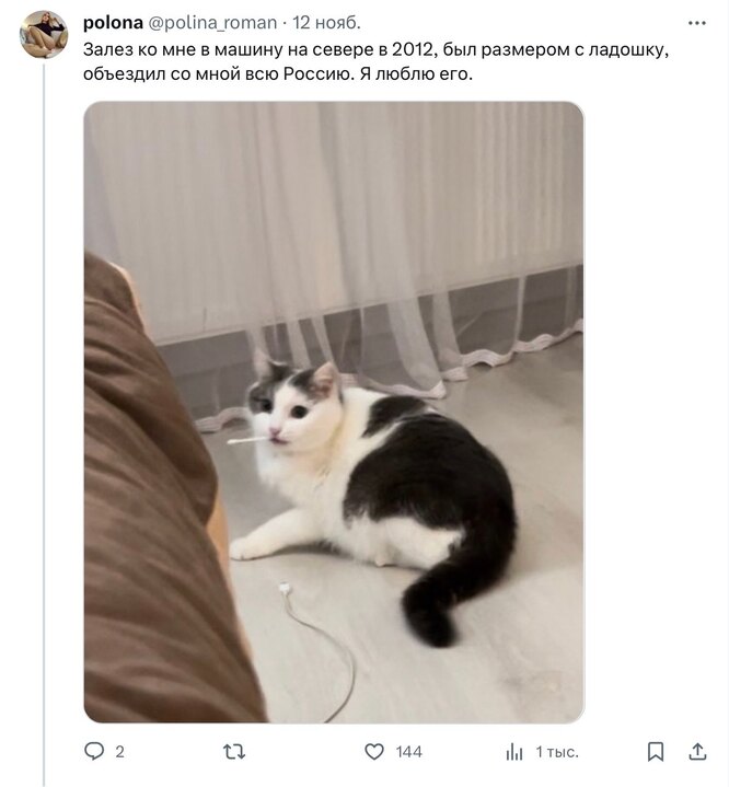 Соцсети Соцсети