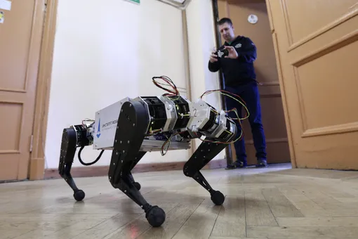 В Совете Федерации разработали законопроект, регулирующий взаимоотношения робота и человека