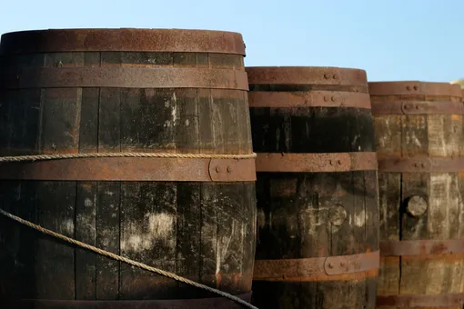 Guinness отправила миллионы литров пива на удобрение деревьев. Иначе оно бы испортилось на карантине
