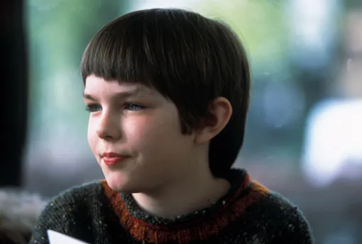 Мой мальчик (2002)