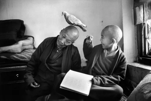 Image Reference:FRM1996006W00004/11A12C(PAR86016)Martine FranckNepal. 1996.Martine FranckMagnum Photos / East News