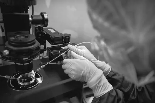 Ученый устанавливает тонкую стеклянную пипетку в микроскоп. Лаборатория в Шэньчжэне, провинция Гуандун на юге Китая.