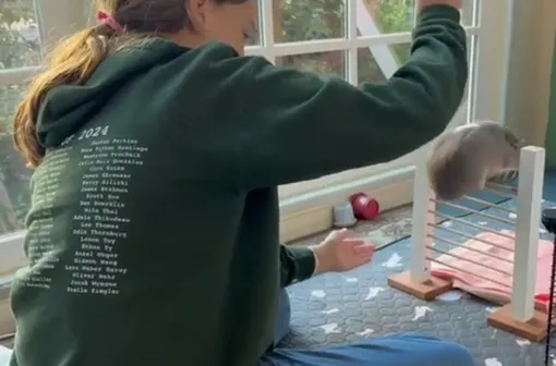 Guinness World Records Guinness World Records