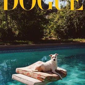 Vogue запустил конкурс среди моделей-собак. Фото победителя разместят на обложке нового Dogue