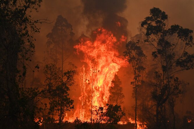 В Австралии из-за лесных пожаров погибли три человека. В двух штатах ввели режим ЧС