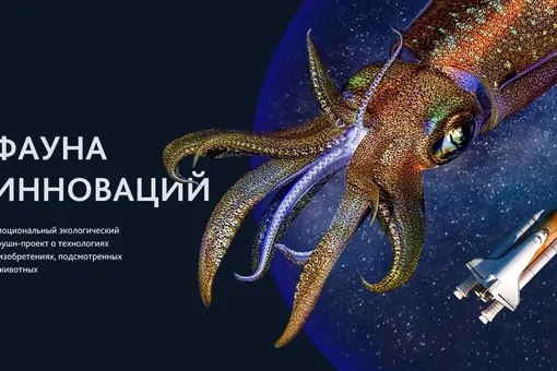 В центре Москвы «оживут» полотна с гениальными изобретателями из мира животных