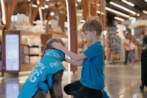 В аэропорту Стамбула начали работать собаки-терапевты. Они помогают пассажирам справиться с тревогой