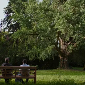 В «Художественном» покажут драму «Молчаливый друг»