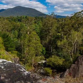 Туристический сайт в Австралии вел блог с помощью ИИ. Людей начали отправлять к несуществующим источникам