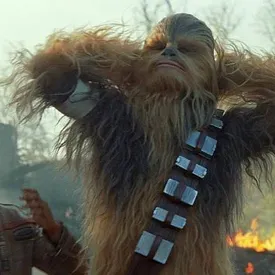 Ученые назвали новый вид кораллов в честь Чубакки из «Звездных войн» Ученые назвали новый вид кораллов в честь Чубакки из «Звездных войн»