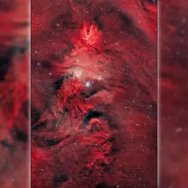 NASA опубликовало новый снимок звезд, которые внешне напоминают елочку