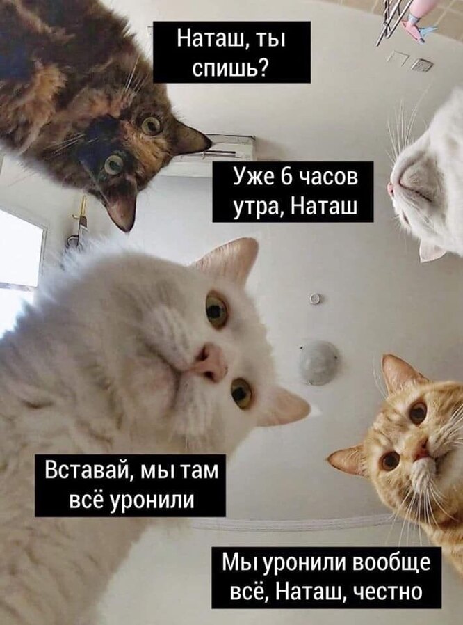 Как уснуть и не проснуться. Как уснуть и не проснуться