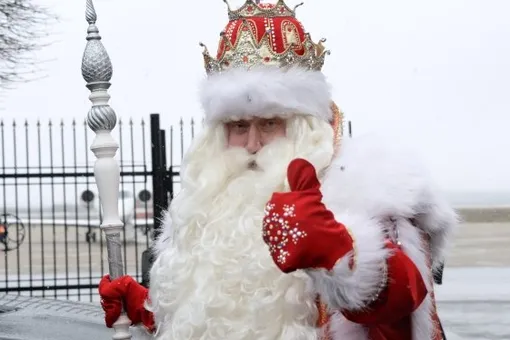 Главный Дед Мороз России пригласил в гости Грету Тунберг. Он хочет показать ей «настоящий мороз»
