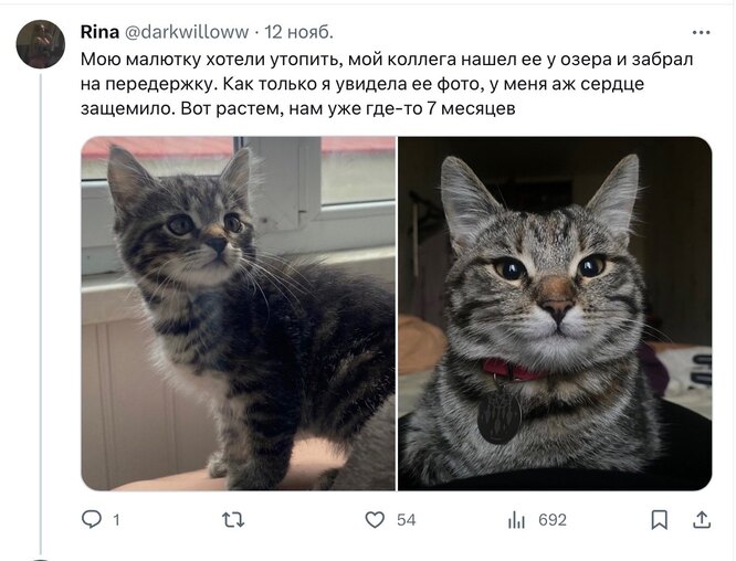 Соцсети Соцсети