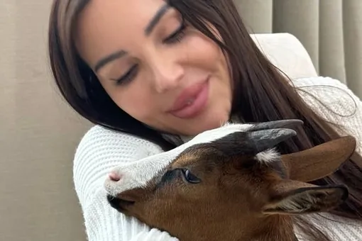 Оксана Самойлова рассказала о смерти своей домашней козы Мими Оксана Самойлова рассказала о смерти своей домашней козы Мими