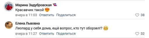 Соцсети