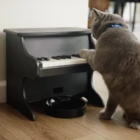 В США разработали музыкальную кормушку для котов и собак
