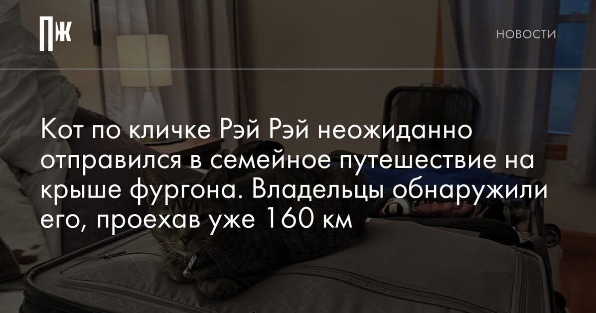 Кот по кличке Рэй Рэй неожиданно отправился в семейное путешествие на крыше фургона. Владельцы обнаружили его, проехав уже 160 км