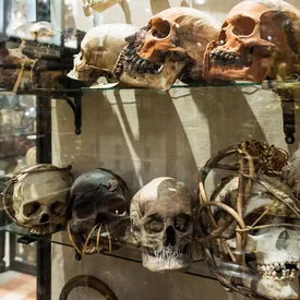 Британский аукционный дом снял с продажи древнеегипетские человеческие черепа