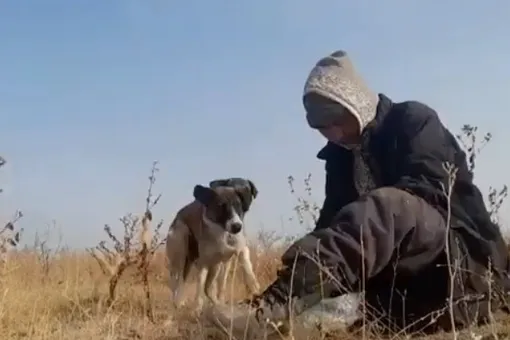 Мальчик-пастух из Казахстана прославился в соцсетях благодаря своим искренним роликам о жизни в деревне и одиночестве