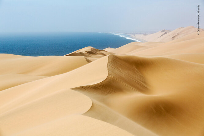 «Окружающая среда»: на снимке испанского фотографа Орладо Фернандеса Миранды запечтлены три природных явления — густой океанский туман, песчаные вихри в пустыне Намиб и теплый солнечный свет.