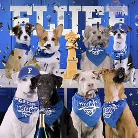 В США прошел Puppy Bowl — аналог Супербоула со щенками. Его посмотрели 15 млн человек