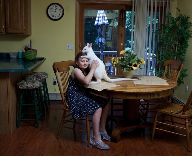 Валлаби альбинос «Негодяй»