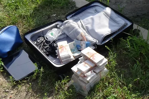 В Биробиджане предприниматель в спешке забыл на улице чемодан с 15 млн рублей