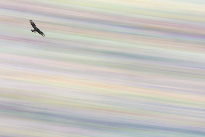 RUNNER-UP CATEGORY NATURE OF «DE LAGE LANDEN"Ronald Zimmerman | Flying Over a Pastel "Rainbow»