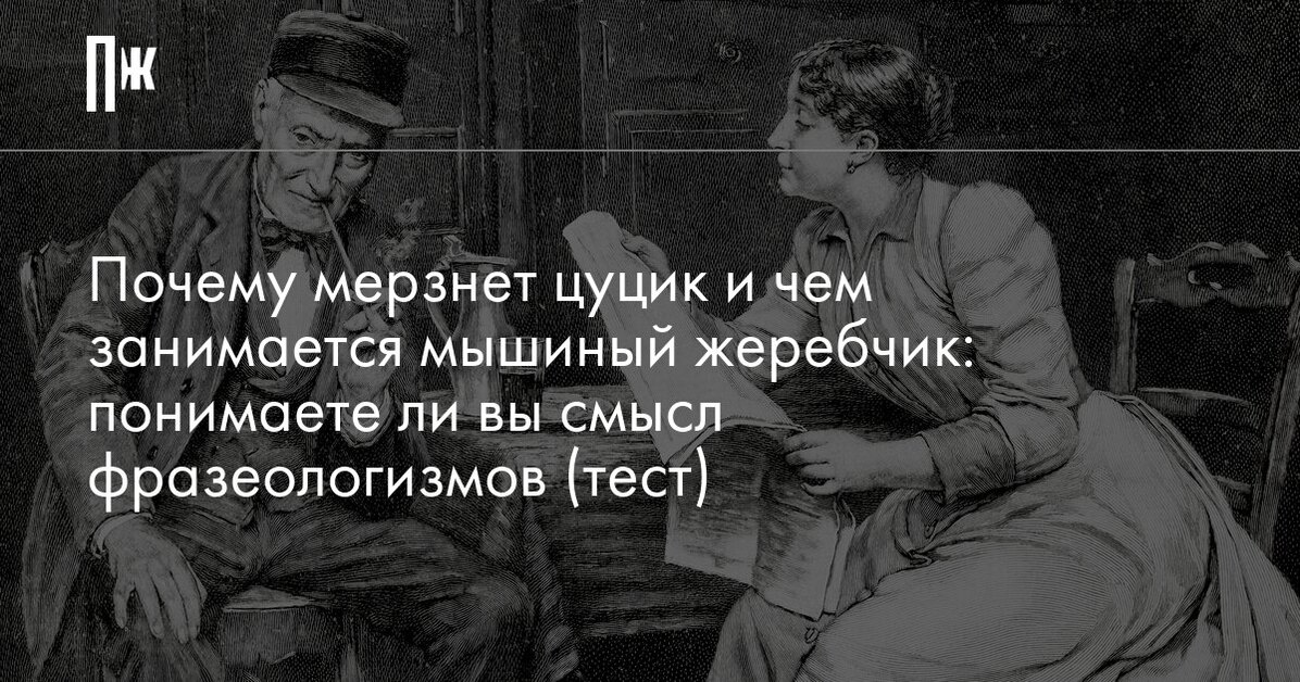 Почему всегда 12. Тест на знание фразеологизмов. Замерз как цуцик. Замёрз как цуцик что значит. Цуцик это кто такой и почему он мерзнет.