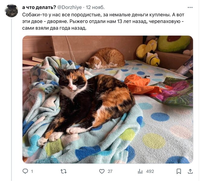 Соцсети Соцсети