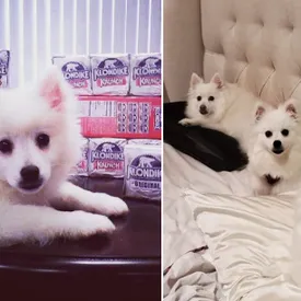 «Было/Стало»: пользователи Twitter запустили новый флешмоб и делятся фотографиями о том, как изменилась их жизнь