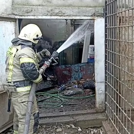 В Евпатории более 200 животных погибли при пожаре в зоопарке В Евпатории более 200 животных погибли при пожаре в зоопарке