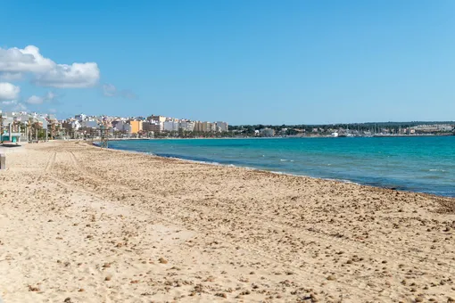 Власти испанского прибрежного курорта обработали пляж отбеливателем. И убили на нем все живое