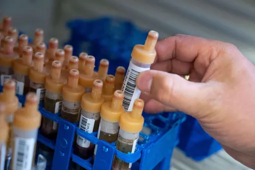 Коронавирус к 17 июля: все регионы России прошли пик заболеваемости, Великобритания, США и Канада обвиняют Россию в краже данных о вакцине