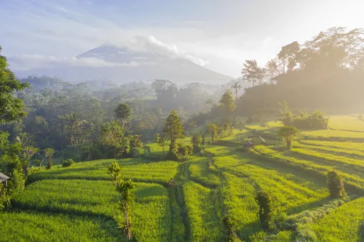 На Бали запретили залезать на священные деревья и восходить на горы