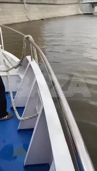 Смотреть