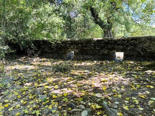 DOCUMENT DATE: August 11, 2022 A general view of a weir and dried riverbed near the source of the River Thames, in Kemble, in Gloucestershire, Britain August 10, 2022. REUTERS/Lucy Marks