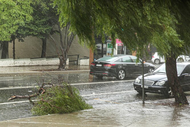 В Австралии прошли сильнейшие за 30 лет дожди. Они потушили лесные пожары, но вызвали наводнение