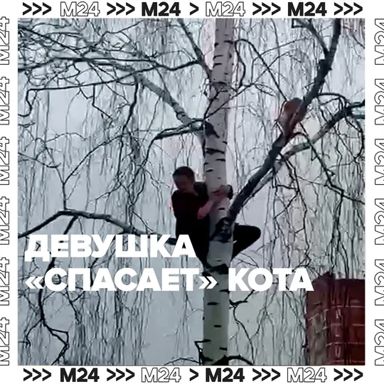 Смотреть