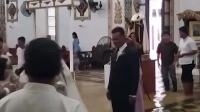 Смотреть