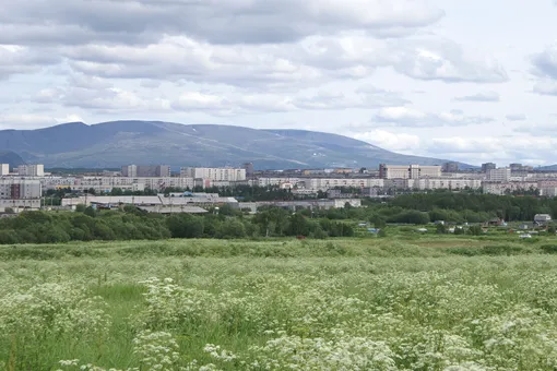 В Мурманской области журналистов, оставшихся без доходов из-за кризиса, устроили дворниками