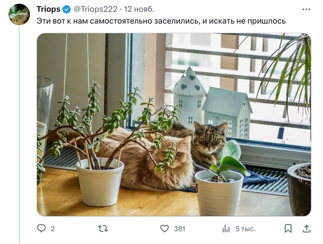 Соцсети Соцсети