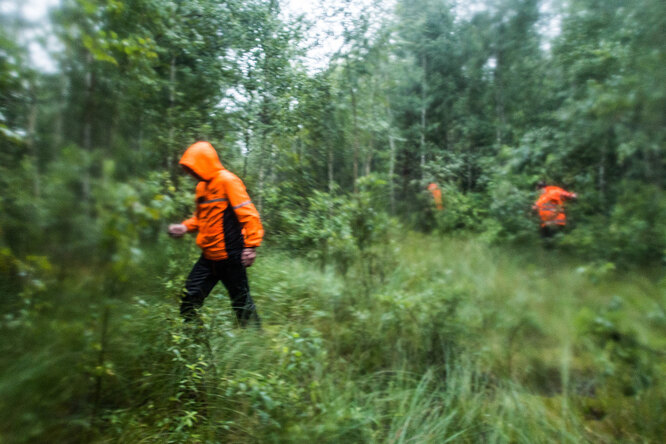 В Омской области нашли живым пропавшего трехлетнего мальчика. Он провел в лесу больше двух дней