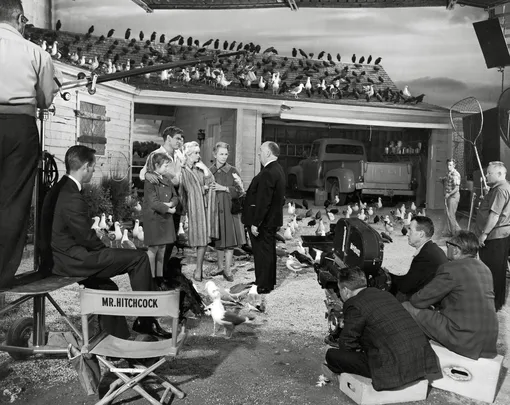 Alfred Hitchcock, Rod Taylor, Tippi Hedren, Jessica Tandy, and Veronica Cartwright during production of «The Birds», 1963.