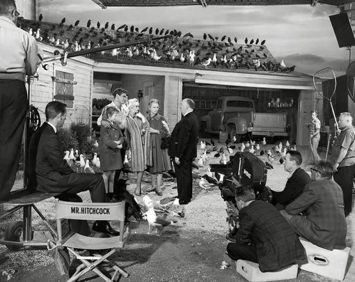 Альфред Хичкок на съемочной площадке «Птиц», 1963. Alfred Hitchcock, Rod Taylor, Tippi Hedren, Jessica Tandy, and Veronica Cartwright during production of «The Birds», 1963.