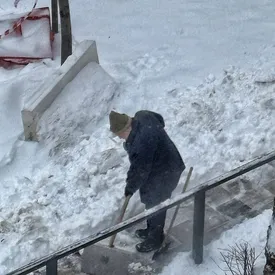 Создатель «Ежика в тумане» Юрий Норштейн вышел чистить двор от снега