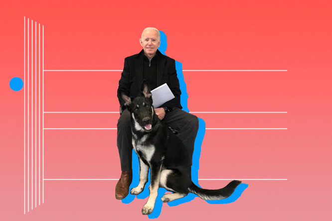 Мужчина и его собаки: Джо Байден и его немецкие овчарки Чемп и Мейджор
