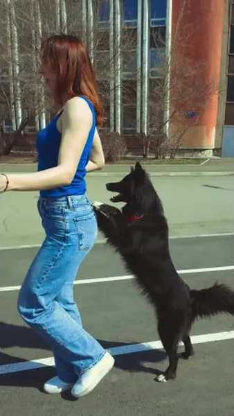 Смотреть