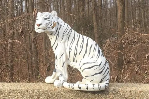 Американец пожаловался в 911 на отдыхающего у дороги белого тигра. Выяснилось, что это просто статуя (теперь она живет в отделении полиции)